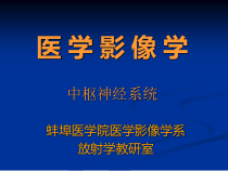 医学影像学-中枢神经系统-1蚌埠医学院课件