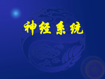 影像核医学课件神经系统