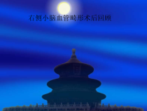 右侧小脑血管畸形术后回顾课件