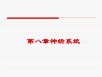 运动解剖神经系统课件