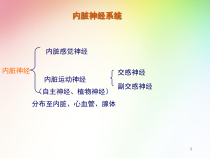 植物神经课件