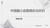 中国脑小血管病诊治共识课件