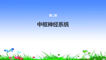中枢神经系统课件_2