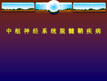 中枢神经系统脱髓鞘疾病2课件