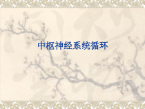 中枢神经系统循环课件