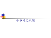 中枢神经系统医学影像学本科五年制教材课件