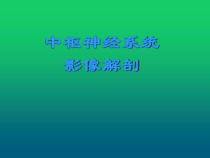 中枢神经系统影像解剖-课件