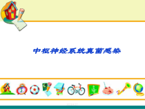 中枢神经系统真菌感染课件
