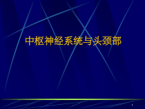 中枢神经系统与头颈部课件