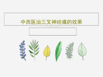中西医治三叉神经痛的效果共20张课件