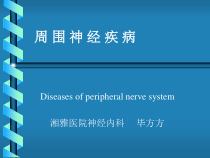周围神经病进修生讲课课件
