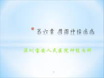周围神经病课件