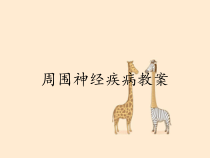 周围神经疾病教案课件
