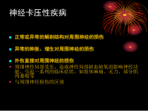 周围神经卡压性疾病课件