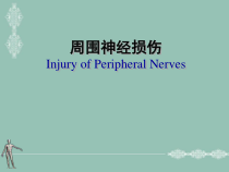 周围神经损伤教材课件