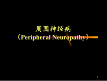 周围神经系统疾病课件