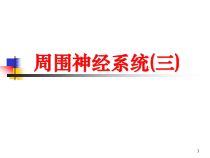 周围神经系统-课件