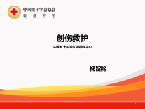 29医学救护员培训创伤救护课件
