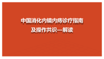 2021年内痔内镜下微创诊疗指南解读讲座课件