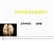 AECOPD治疗096-课件