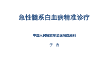 aml精准诊疗-课件