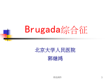Brugada综合征的临床诊断课件