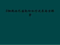B细胞淋巴瘤靶向治疗进展南京探素课件