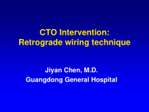 CTO病变的介入治疗_课件