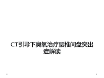 CT引导下臭氧治疗腰椎间盘突出症解读课件