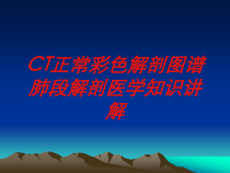CT正常彩色解剖图谱肺段解剖医学知识讲解培训课件