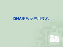 DNA电泳及应用技术精美生物医学课件