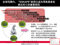 IDSA成人和儿童MRSA感染治疗指南课件