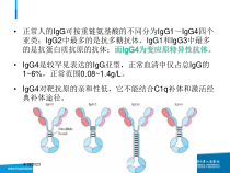 IG相关疾病医学课件培训课件