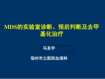 MDS的实验室诊断预后分层及去甲基化治疗课件