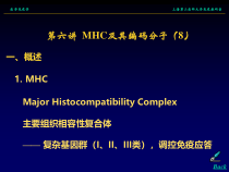 MHC及其编码分子医学免疫学课件