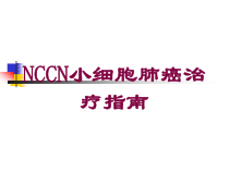 NCCN小细胞肺癌治疗指南培训课件