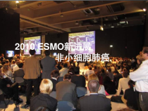 NSCLC的早期辅助化疗与晚期姑息治疗-从ASCO指南到NCCN指南课件