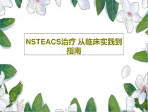 NSTEACS治疗-从临床实践到指南共89张课件