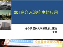 OCT在介入治疗中的应用参考课件