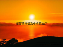 感冒的辩证及中成药治疗教案模板课件