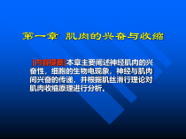 基础医学01-肌肉的兴奋与收缩课件