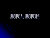 基础医学腹膜与腹膜腔课件