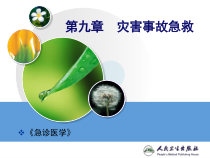 急诊医学第九章-灾害事故急救课件