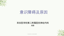急诊医学急性意识障碍课件