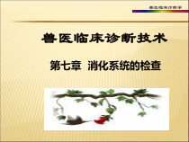 课件第二篇临床检查3版