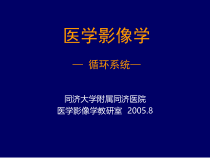 实用课件循环系统医学影像学