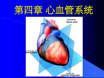 心血管系统核医学课件