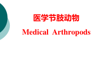 医学节肢动物3课件