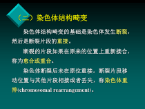 医学生物学10课件