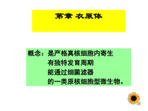 医学微生物学衣原体螺旋体课件